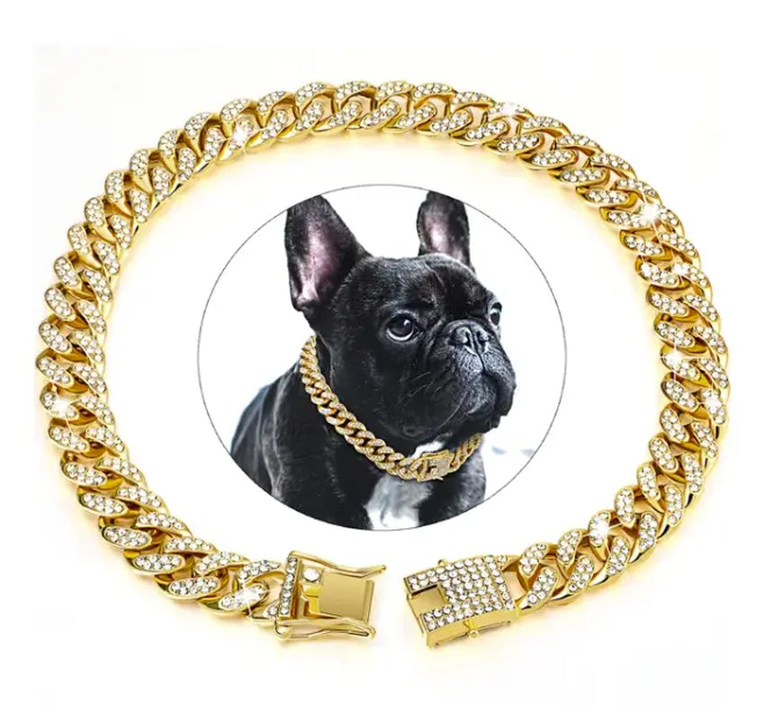 Cool Chain for Pets