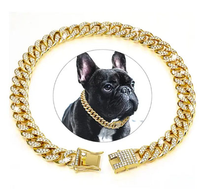 Cool Chain for Pets