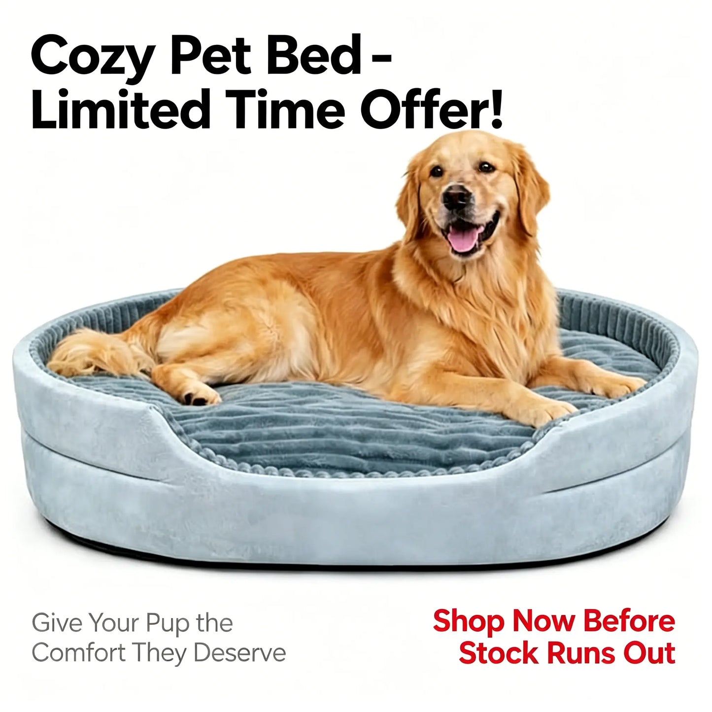 Dog Bed, Pet Sofa Bed, Plush Dog Couch Bed, Egg Crate Foam Dog Bed, Washable Dog Bed, Removable Cover Pet Bed, Waterproof Base Dog Bed, Non Slip Bottom Dog Bed, Indoor Dog Bed, Grey Dog Bed, Small Medium Large X-Large Dogs, Pet Sleeping Sofa