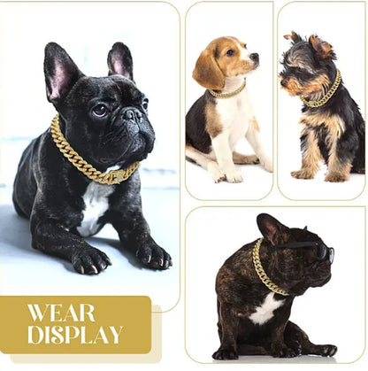 Cool Chain for Pets