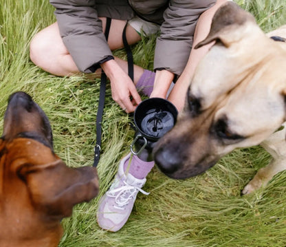 20Oz Flip Dog Travel Water Bottles (Set of 2)