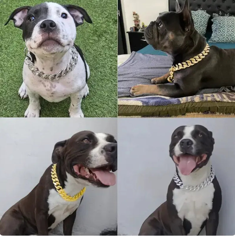 Cool Chain for Pets