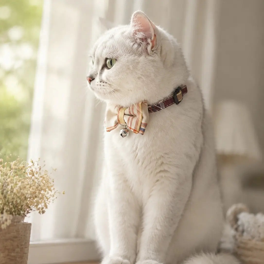 Lightweight Teddy Style Neck Accessory for Cats and Dogs