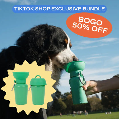 20Oz Flip Dog Travel Water Bottles (Set of 2)