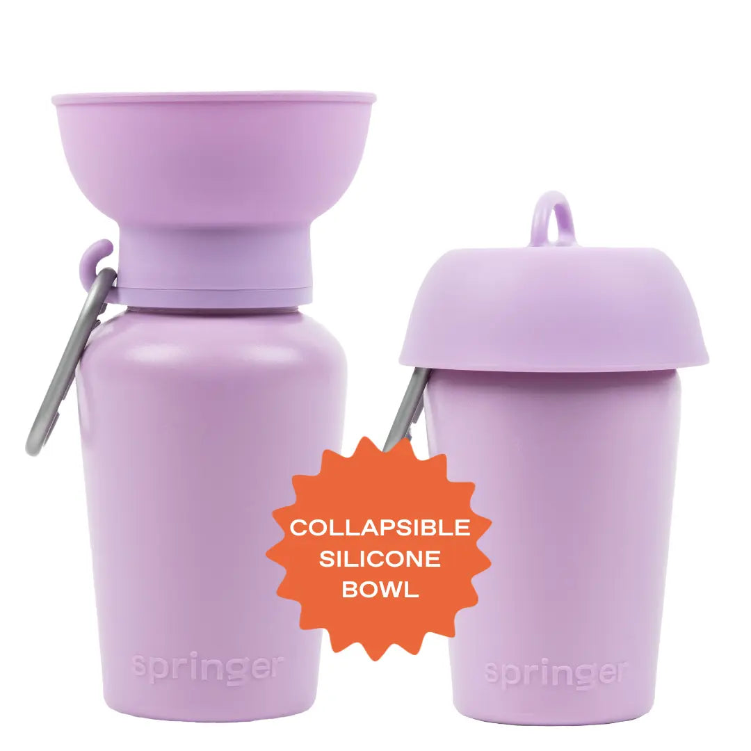20Oz Flip Dog Travel Water Bottles (Set of 2)