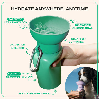 20Oz Flip Dog Travel Water Bottles (Set of 2)