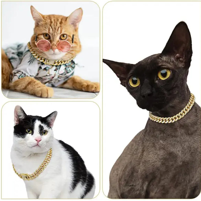 Cool Chain for Pets